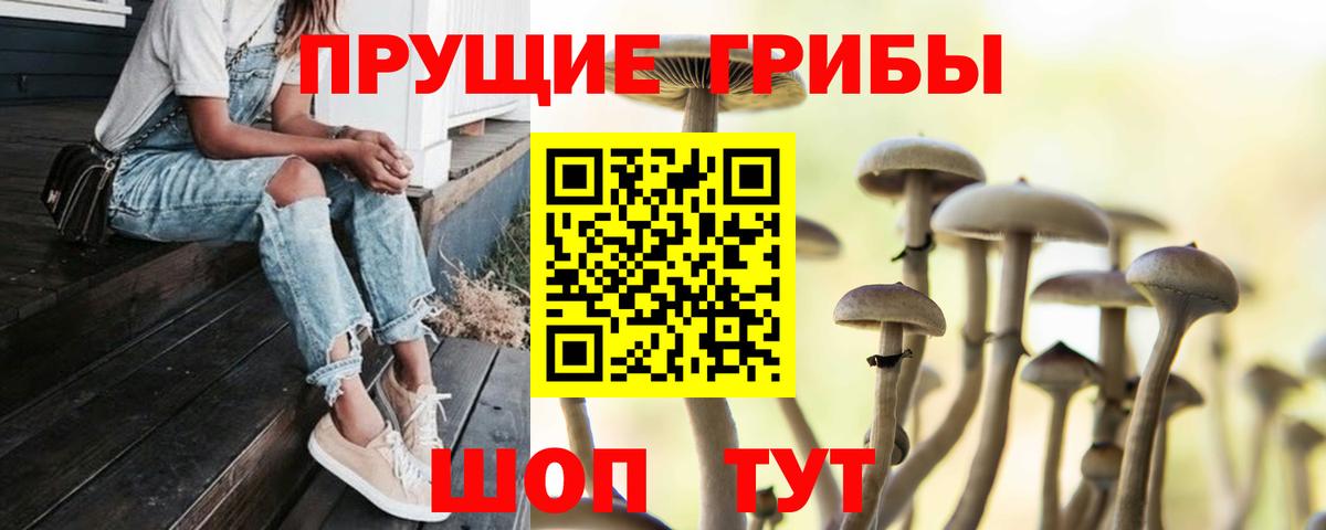 Долгопрудный  Галлюциногенные грибы прущие грибы  Вход с VPN 