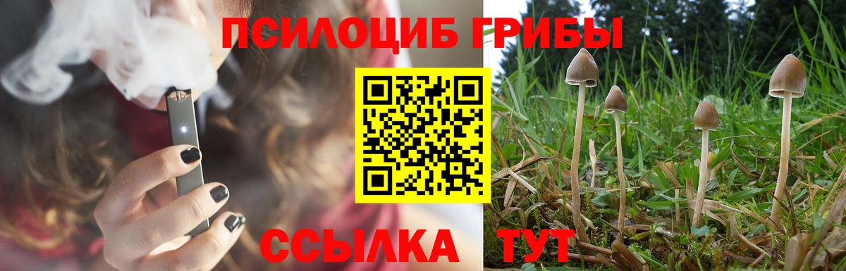 Галлюциногенные грибы Psilocybe Долгопрудный